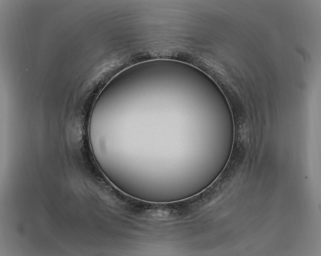 X0000113950687200909251339