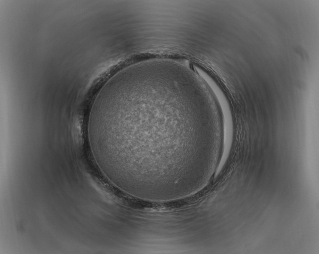 X0000113950688200909251339