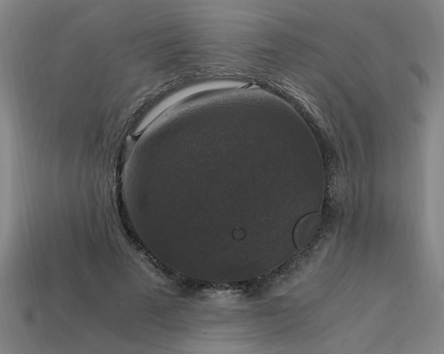 X0000113950689200909251339