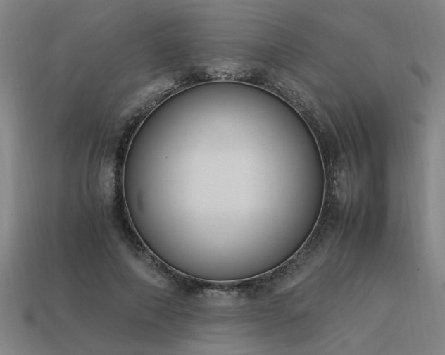 X0000113950690200909251339