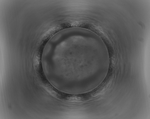 X0000113950691200909251339