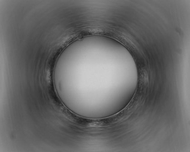 X0000113950700200909251339