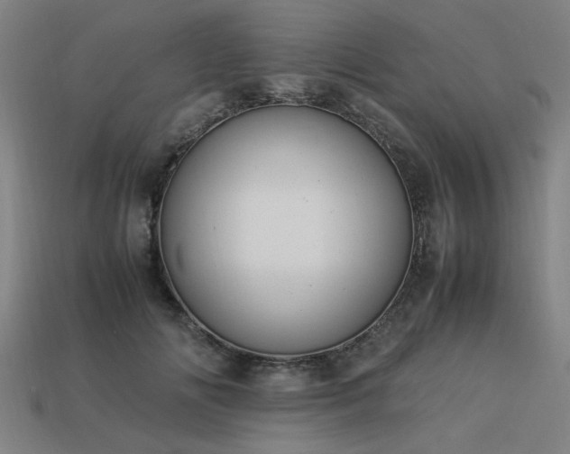 X0000113950702200909251338