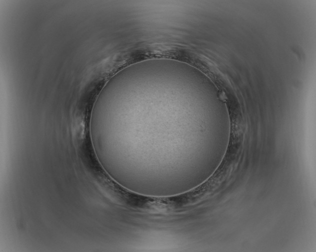 X0000113950703200909251338