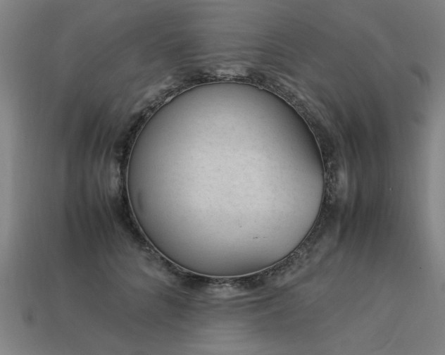 X0000113950704200909251338