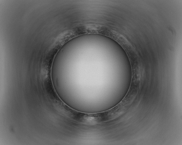 X0000113950706200909251338