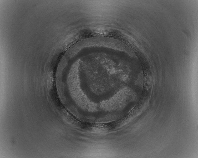 X0000113950707200909251338