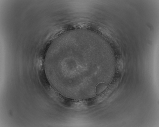 X0000113950709200909251338