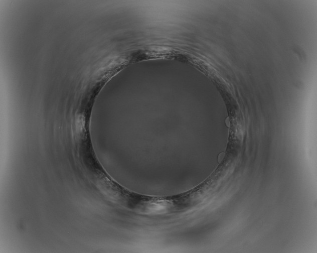 X0000113950711200909251338