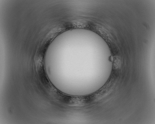 X0000113950713200909251338
