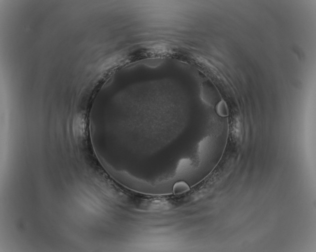 X0000113950715200909251338
