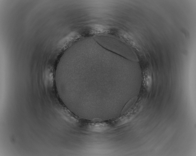 X0000113950716200909251338