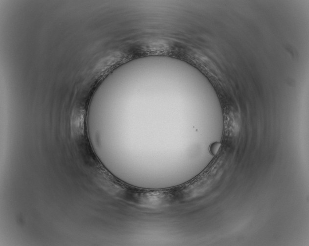 X0000113950717200909251338