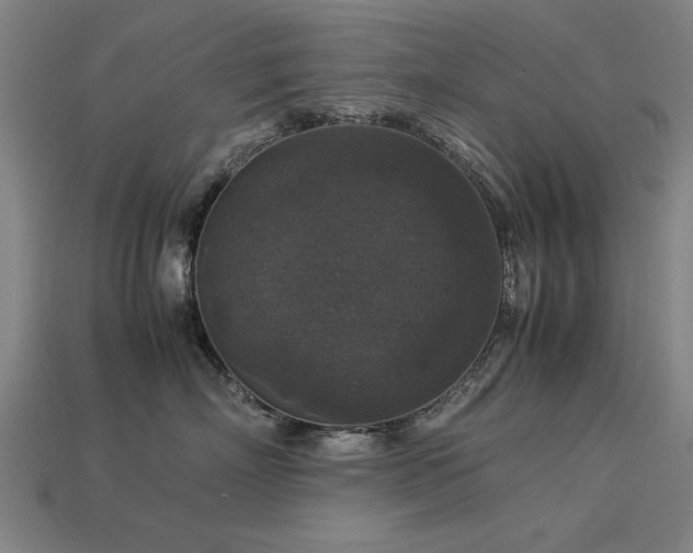 X0000113950718200909251338