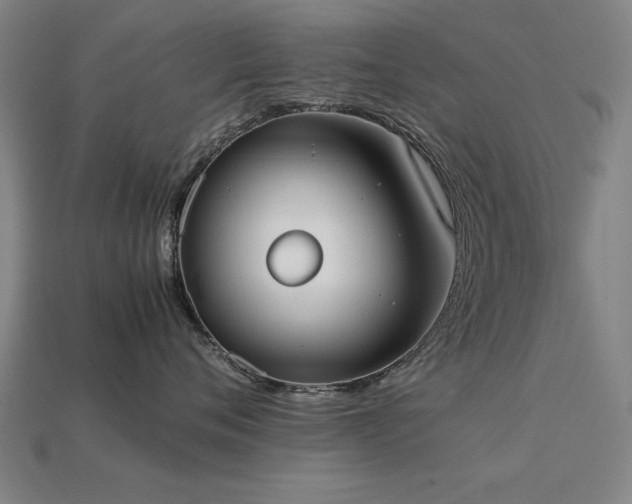 X0000113950720200909251338