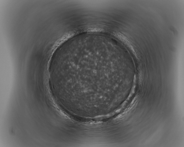 X0000113950721200909251338