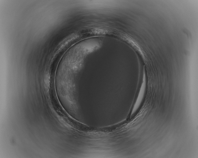 X0000113950722200909251338