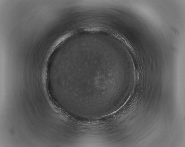 X0000113950724200909251338