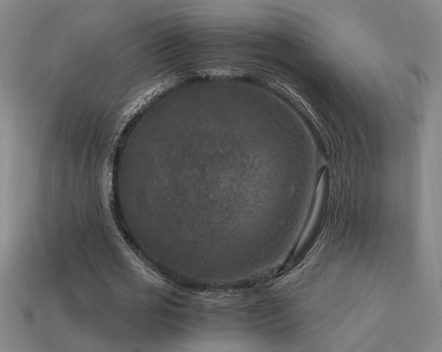 X0000113950725200909251338