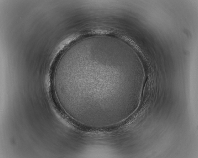 X0000113950726200909251338