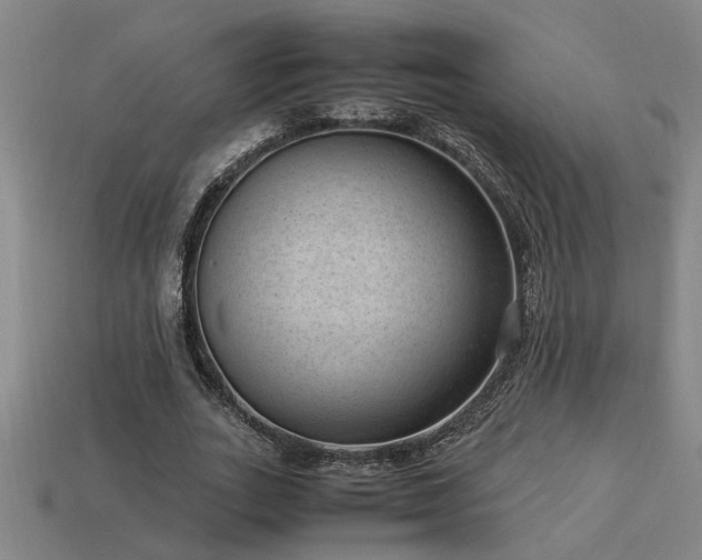 X0000113950727200909251338