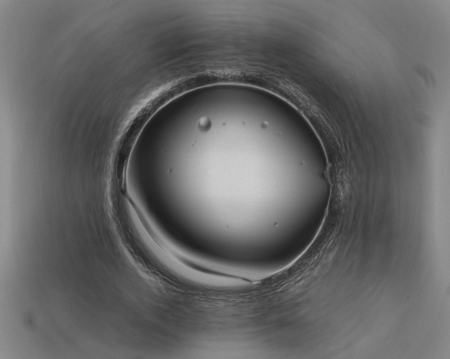 X0000113950728200909251338