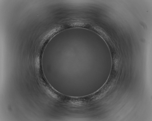 X0000113950729200909251338