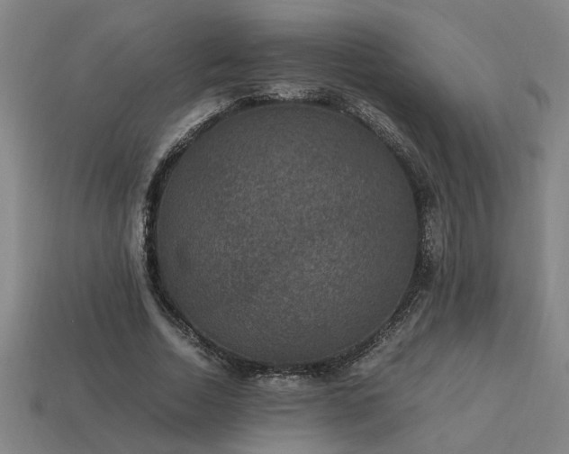 X0000113950730200909251338