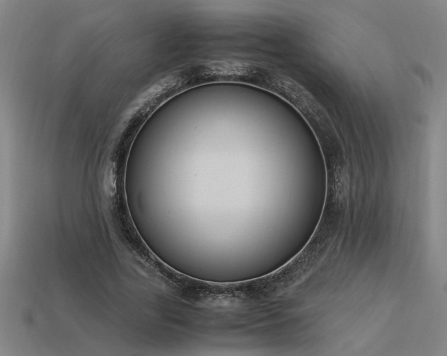 X0000113950731200909251338