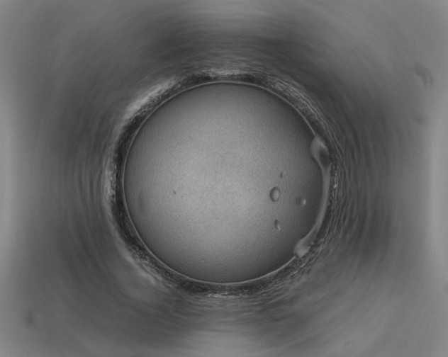 X0000113950732200909251338