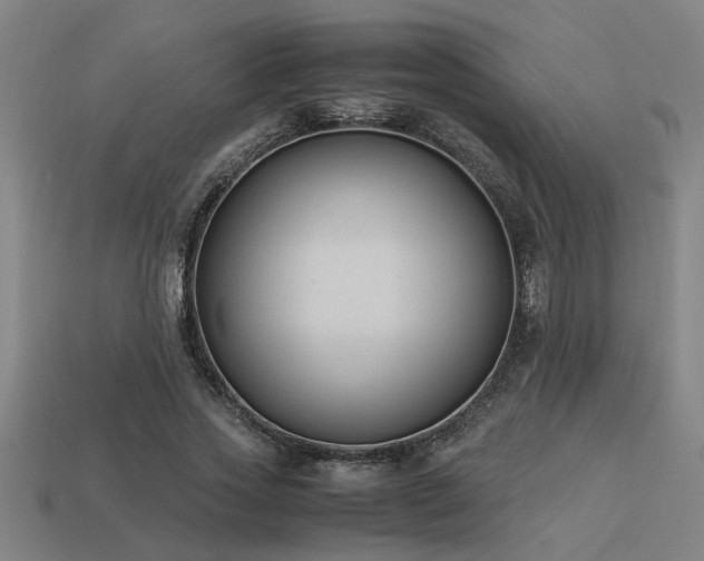 X0000113950733200909251338