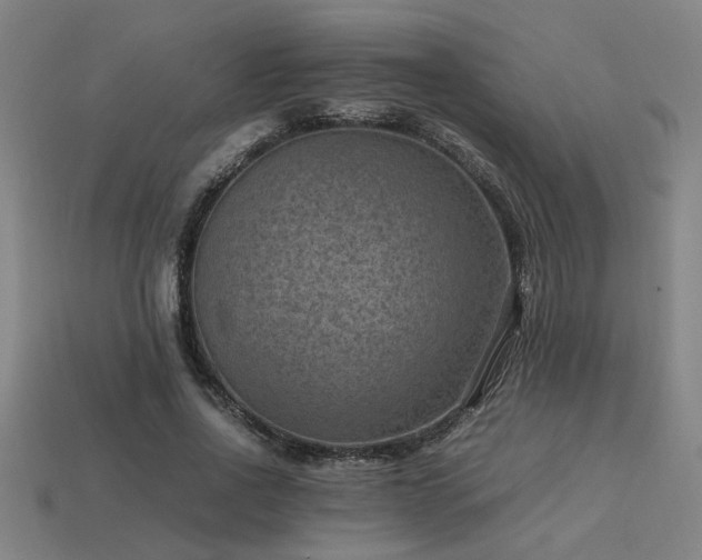 X0000113950734200909251338