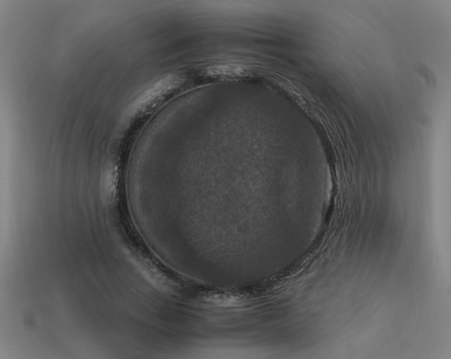 X0000113950735200909251338