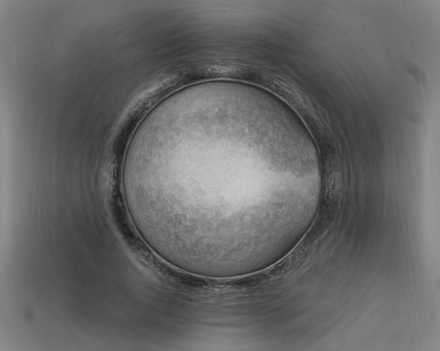 X0000113950736200909251338