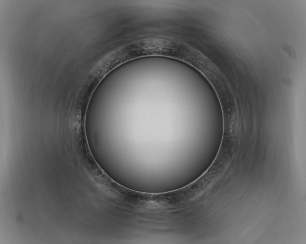 X0000113950737200909251338