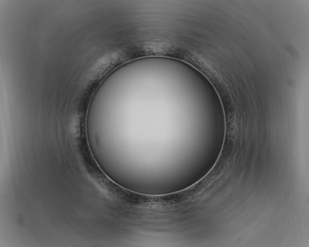 X0000113950738200909251338