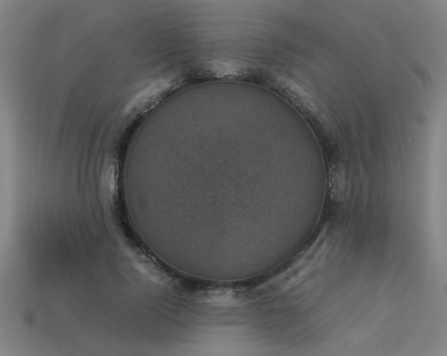 X0000113950740200909251338