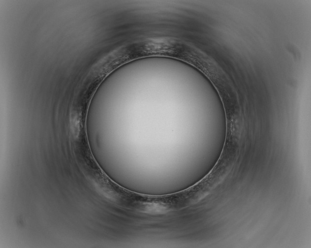 X0000113950741200909251338