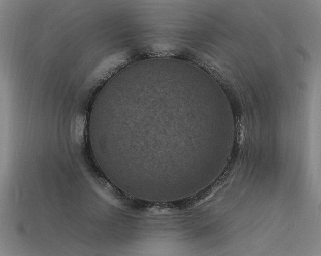 X0000113950742200909251338