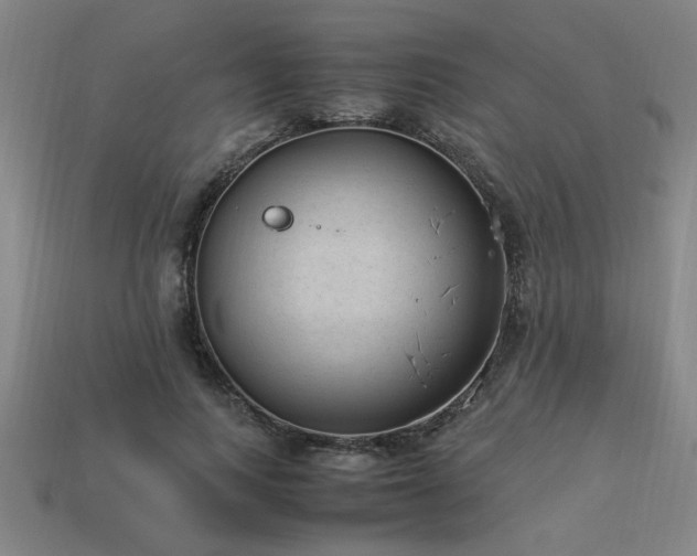 X0000113950743200909251338