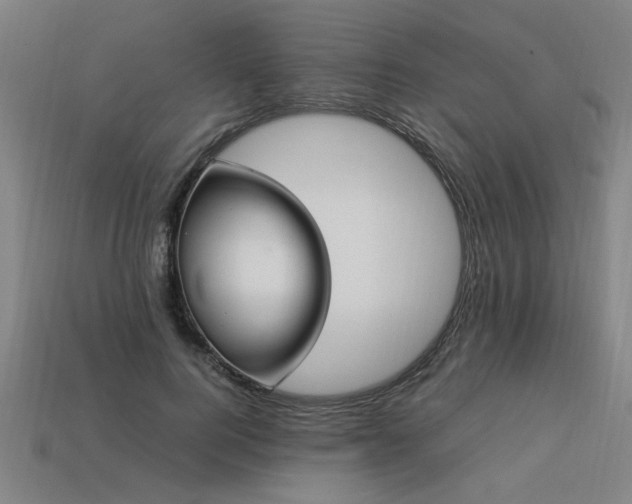 X0000113950744200909251338