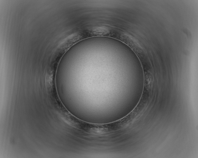 X0000113950745200909251338