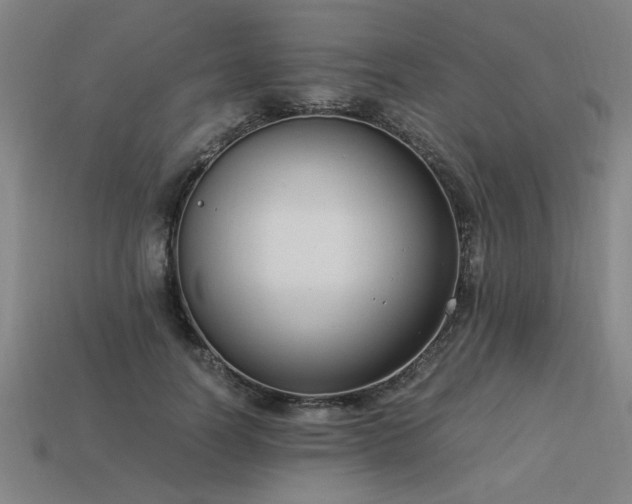 X0000113950746200909251338