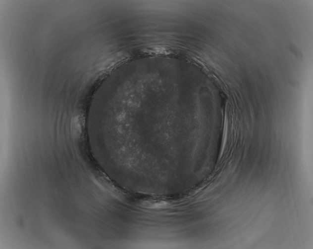 X0000113950747200909251338