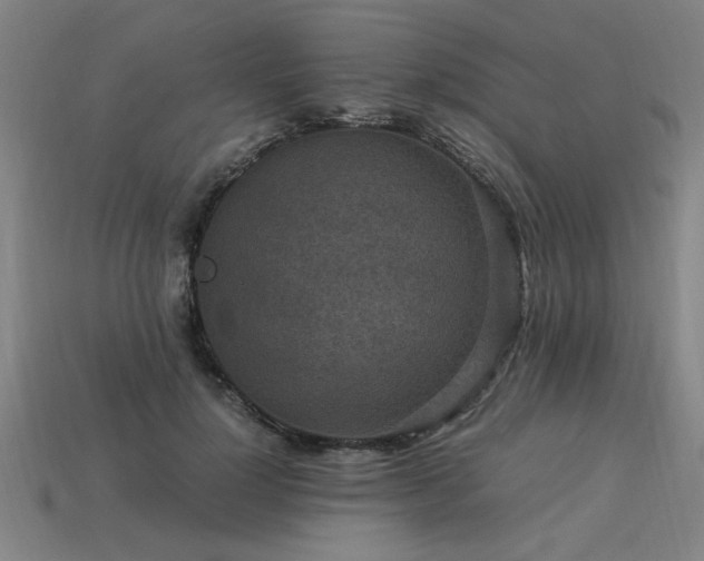 X0000113950748200909251338