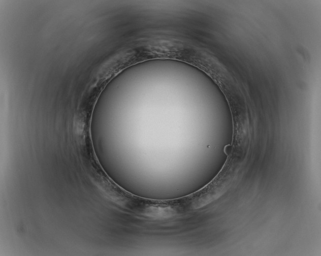 X0000113950749200909251338