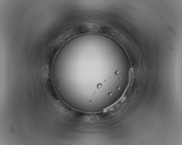 X0000113950752200909251338