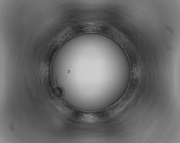 X0000113950753200909251338