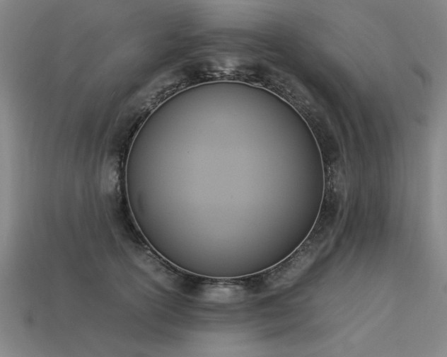 X0000113950754200909251338