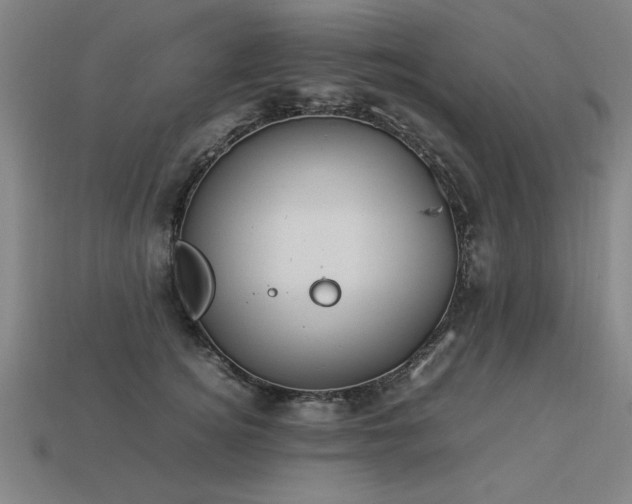 X0000113950756200909251338